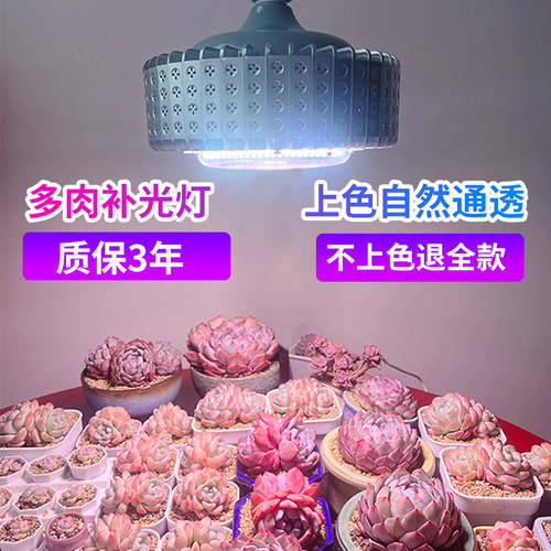 正阳灯筒多肉绿植室内大棚补光灯