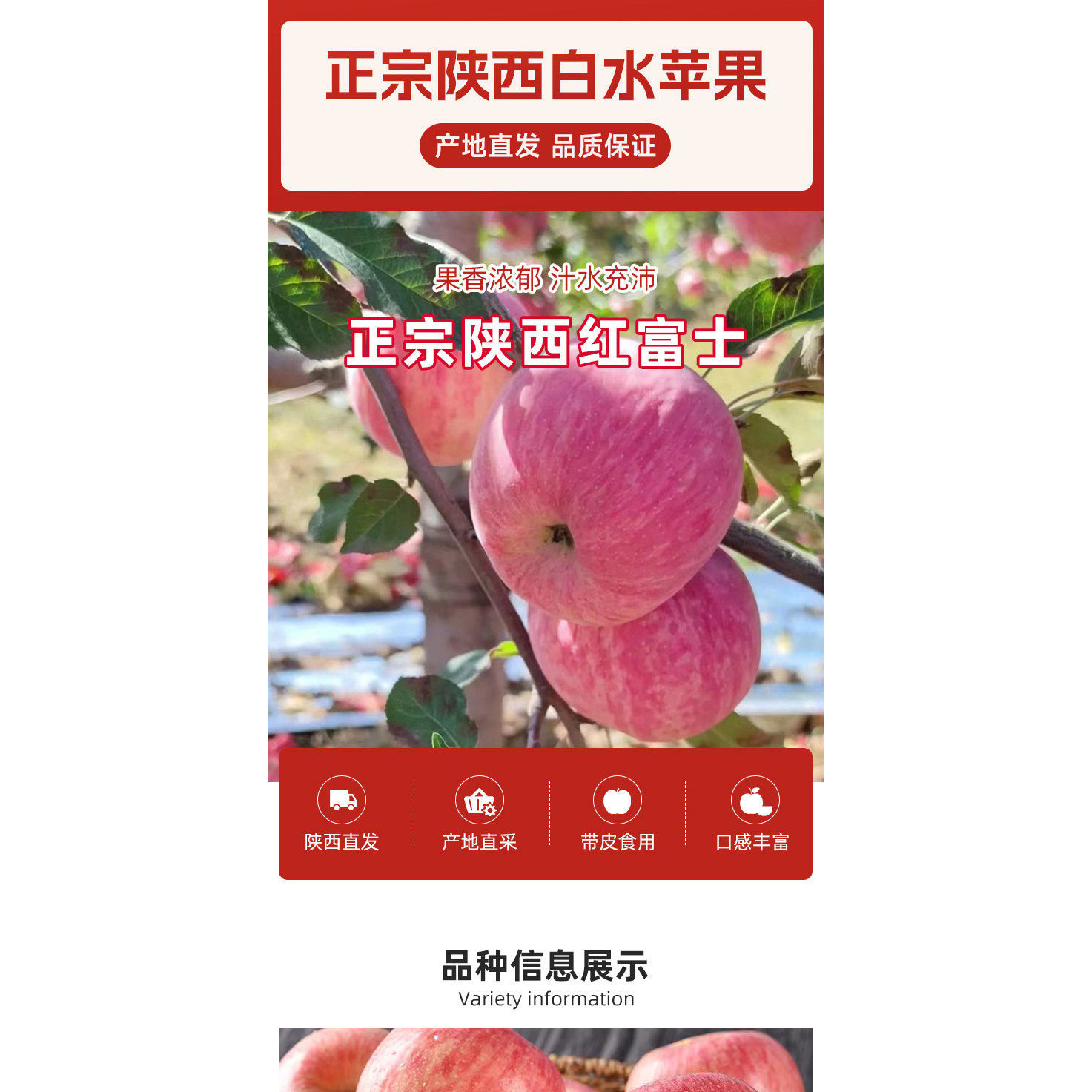 陕西白水红富士苹果脆甜