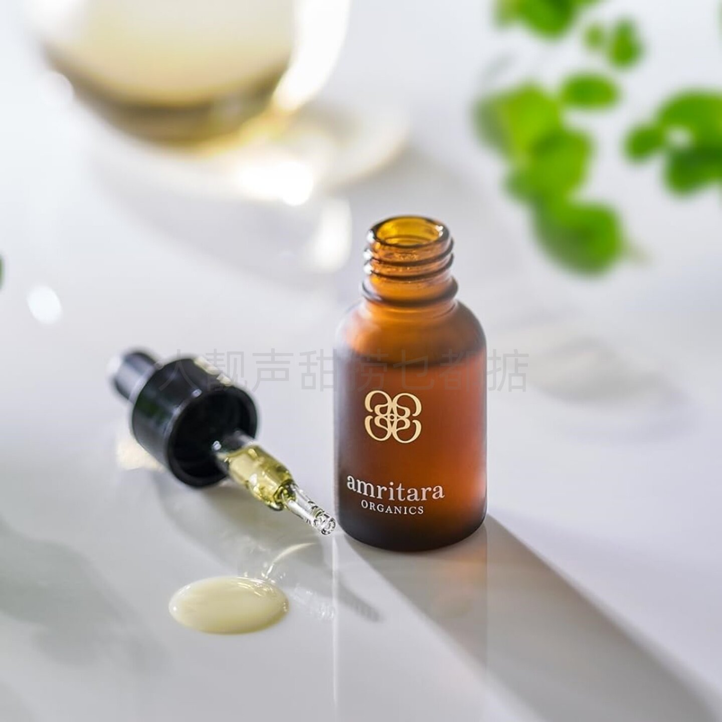以油养肤！amritara精华油