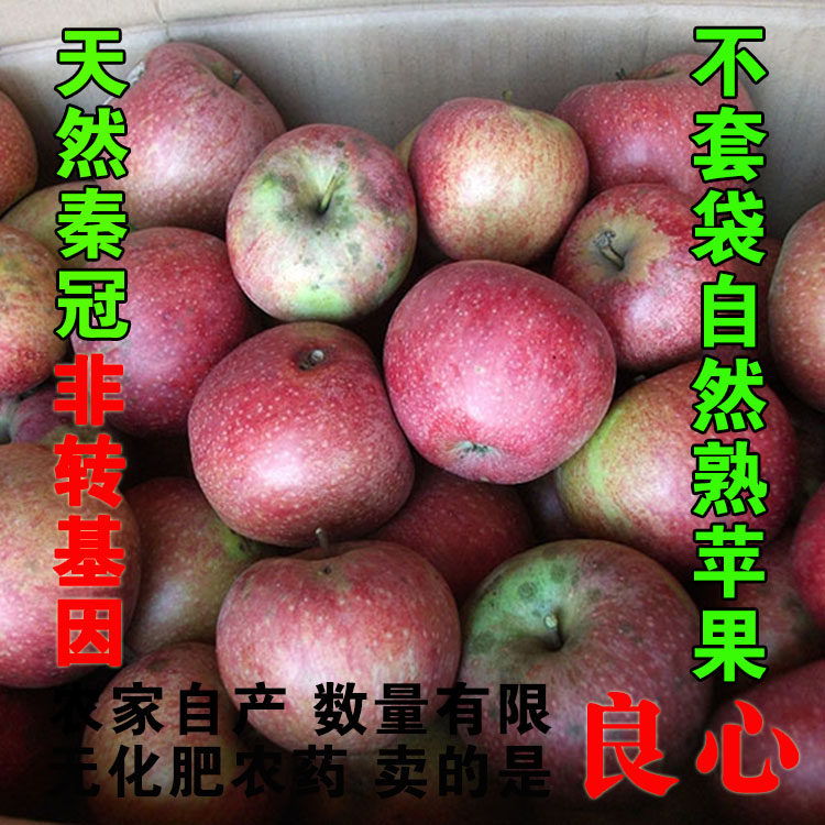农家自产秦冠苹果老品种天然有机水果孕妇苹果不套袋无农药 5斤