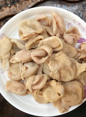 丹飛鸡肚鸡小肚脆肚鸡胃鸡嗉子每袋2斤大约150个火锅串串烧烤丹飞