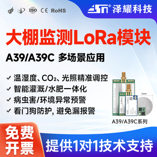 泽耀LoRa串口模块低功耗远距离农业大棚温湿度环境监测看门狗防护