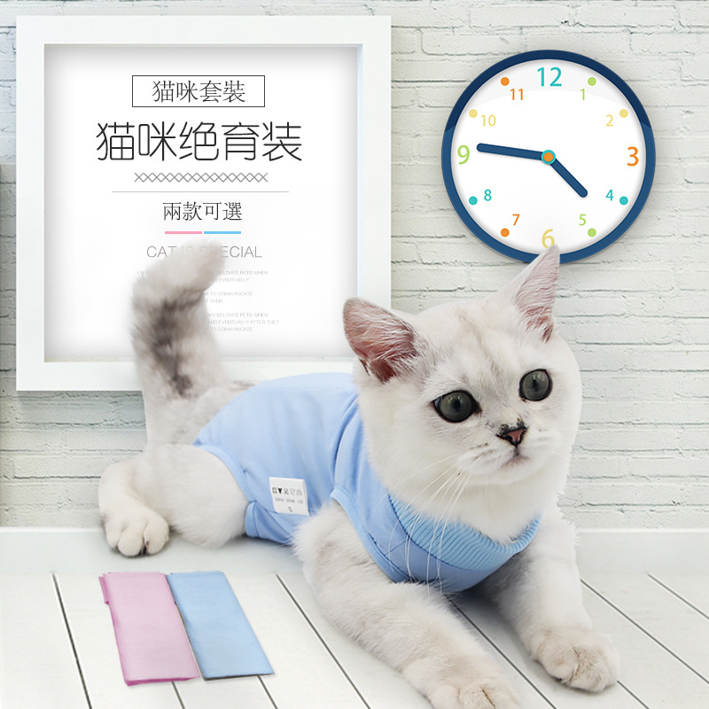 母猫绝育服断奶服手术后服防咬防舔透气弹性防挣脱宠物猫衣服四脚