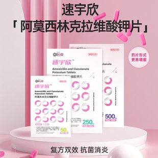 新宠之康阿莫西林克拉维酸钾猫咪狗狗猫鼻支咳嗽感冒药速诺消炎药
