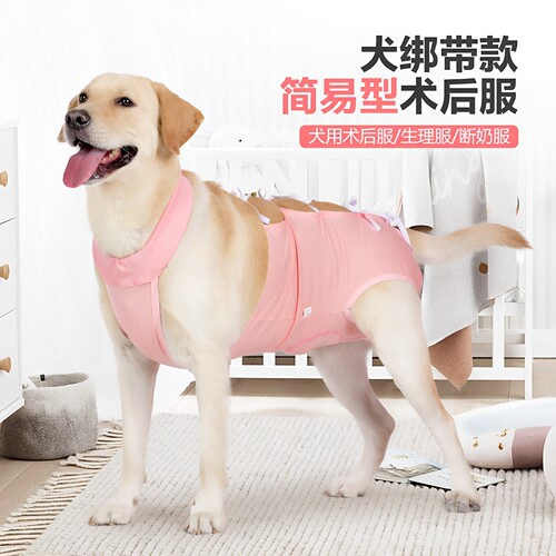 新款狗狗绝育服绑带简易穿脱透气