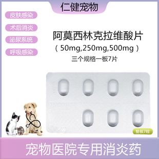 宠物猫咪狗狗消炎药50mg250mg500mg阿莫西林克拉维酸片尿道炎感冒