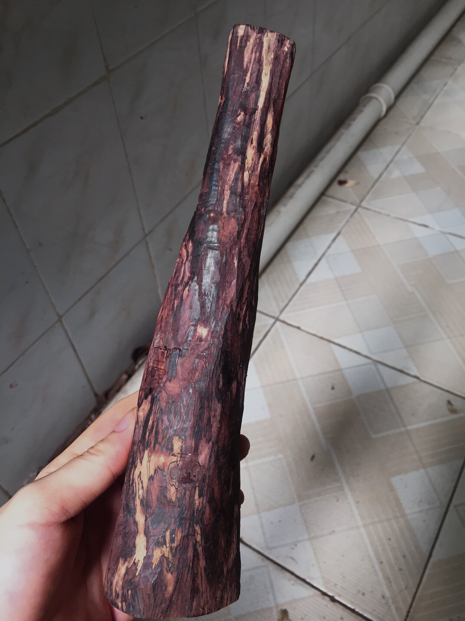 吉缘阁海南火山口紫油梨花梨原木料原材料可制作珠子佛珠 木料