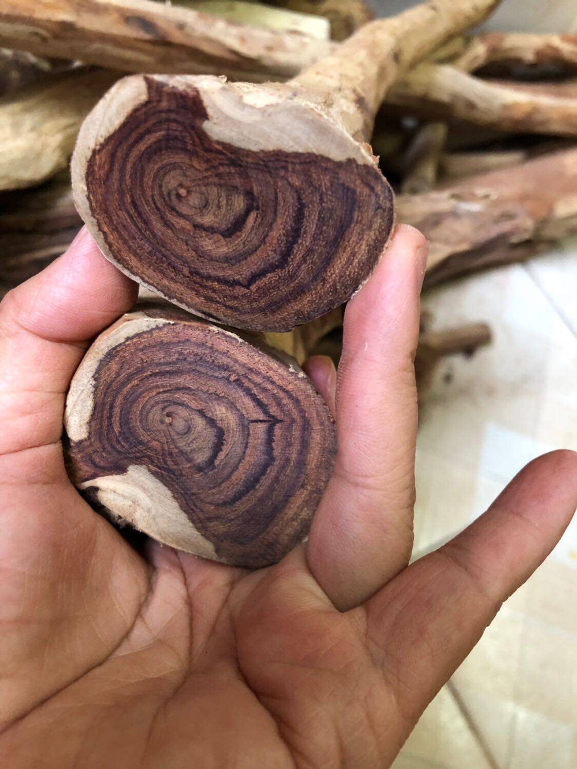 海南黄花梨木料 对眼 紫油梨 海黄原木 黄花梨原料 鬼眼 海黄木料