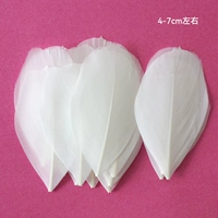 Пятьдесят белых голов на 15 -м