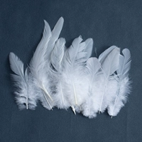 Белое плавание (8-15 см) 50