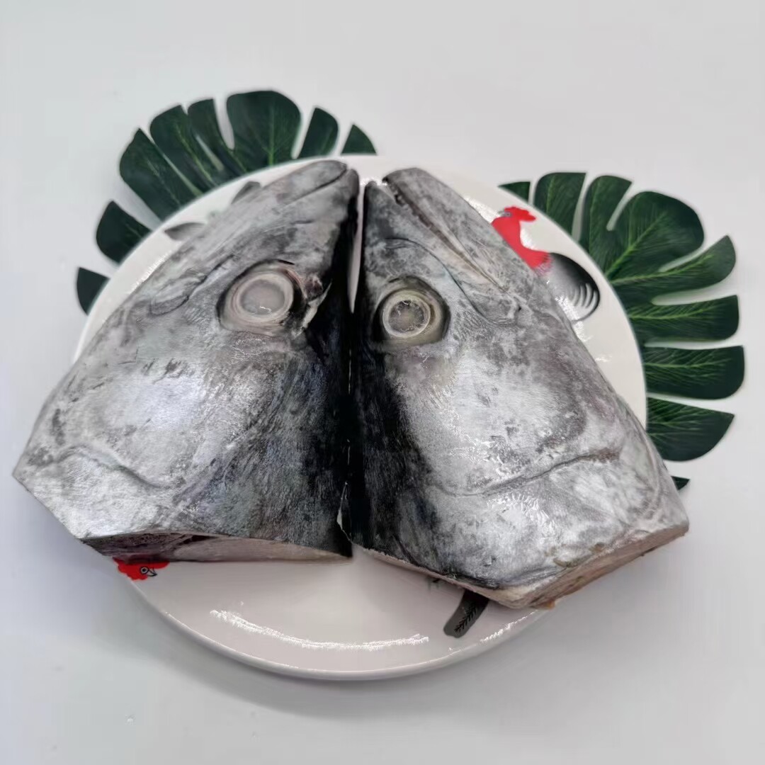 湛江新鲜马鲛鱼头马交鱼头批发