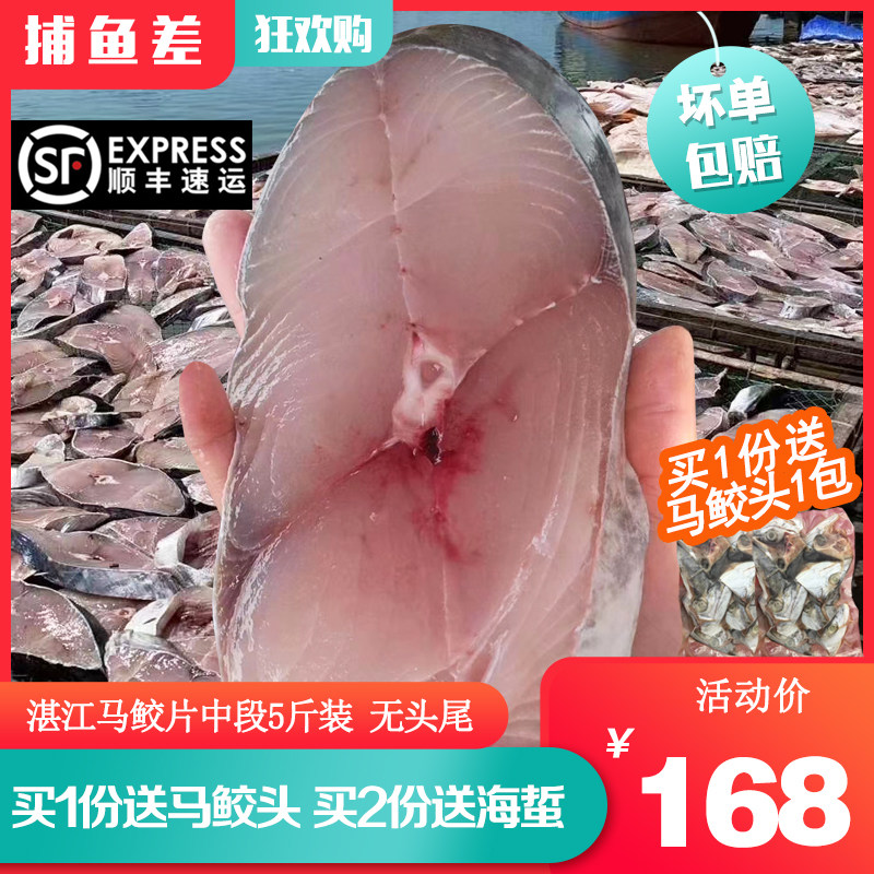 顺丰湛江大马鲛鱼5斤全中段