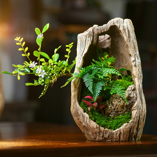 九里香盆栽罗汉松赤楠绿植室内绿植艺术盆景植物办公书房植物礼品