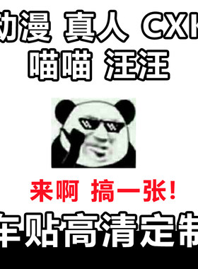 动漫贴纸动漫拉花车身贴纸定制