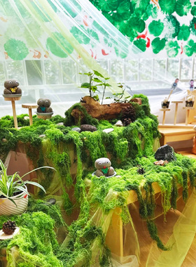 幼儿园环创植物角自然区角装饰造景场景布置道具装饰diy走廊