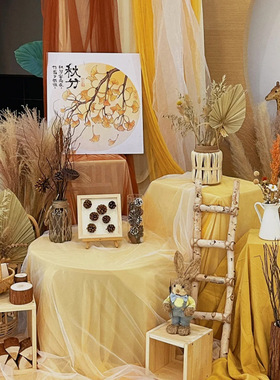 秋天黄色系纱幔幼儿园秋天美拉德环创装饰晒秋布景黄色背景布幔