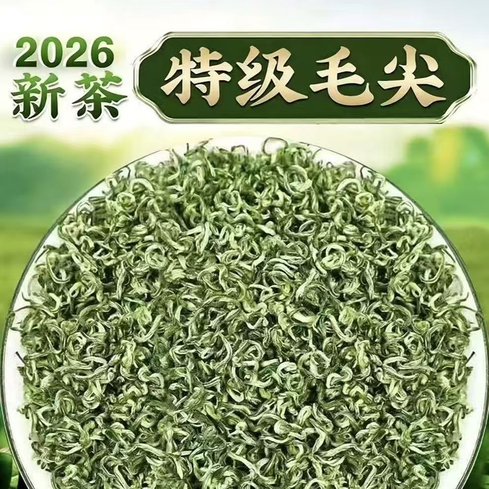 浓香高山2026贵州500g贵州毛尖