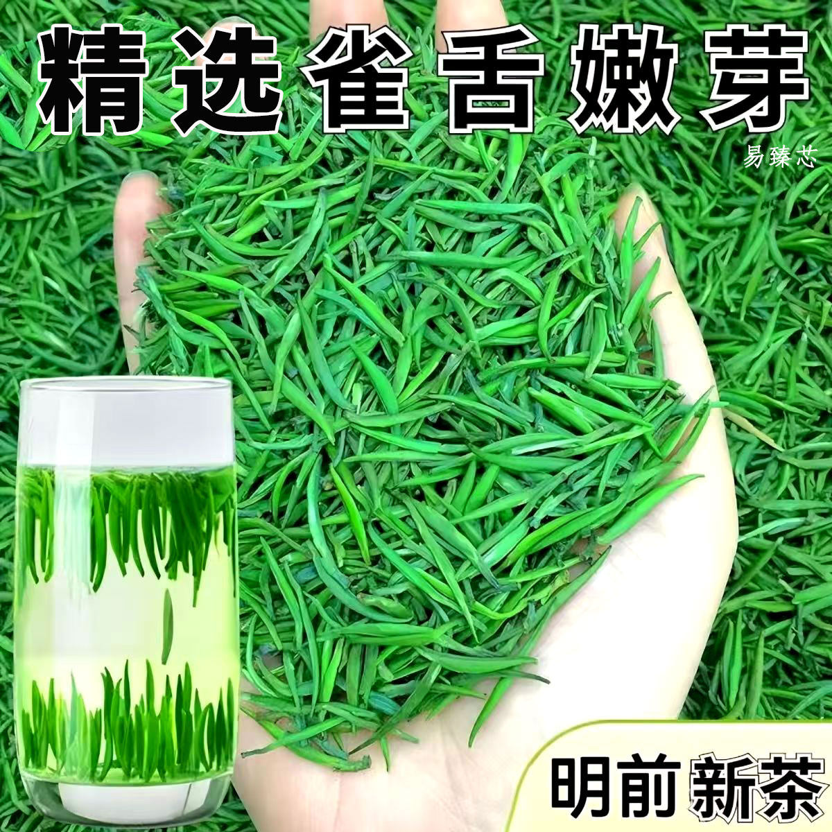 正宗贵州雀舌茶叶2026新茶明前特级湄潭手工嫩芽毛尖高山云雾茶叶
