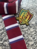 日剧一吻定情 领带徽章 徽章胸针琴子同款