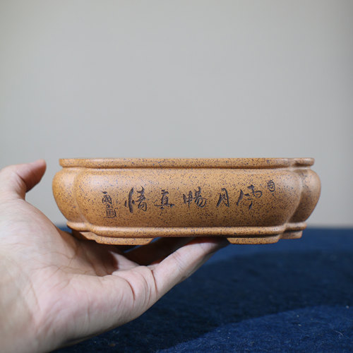 紫砂花盆手工盆景盆长方形苏兵