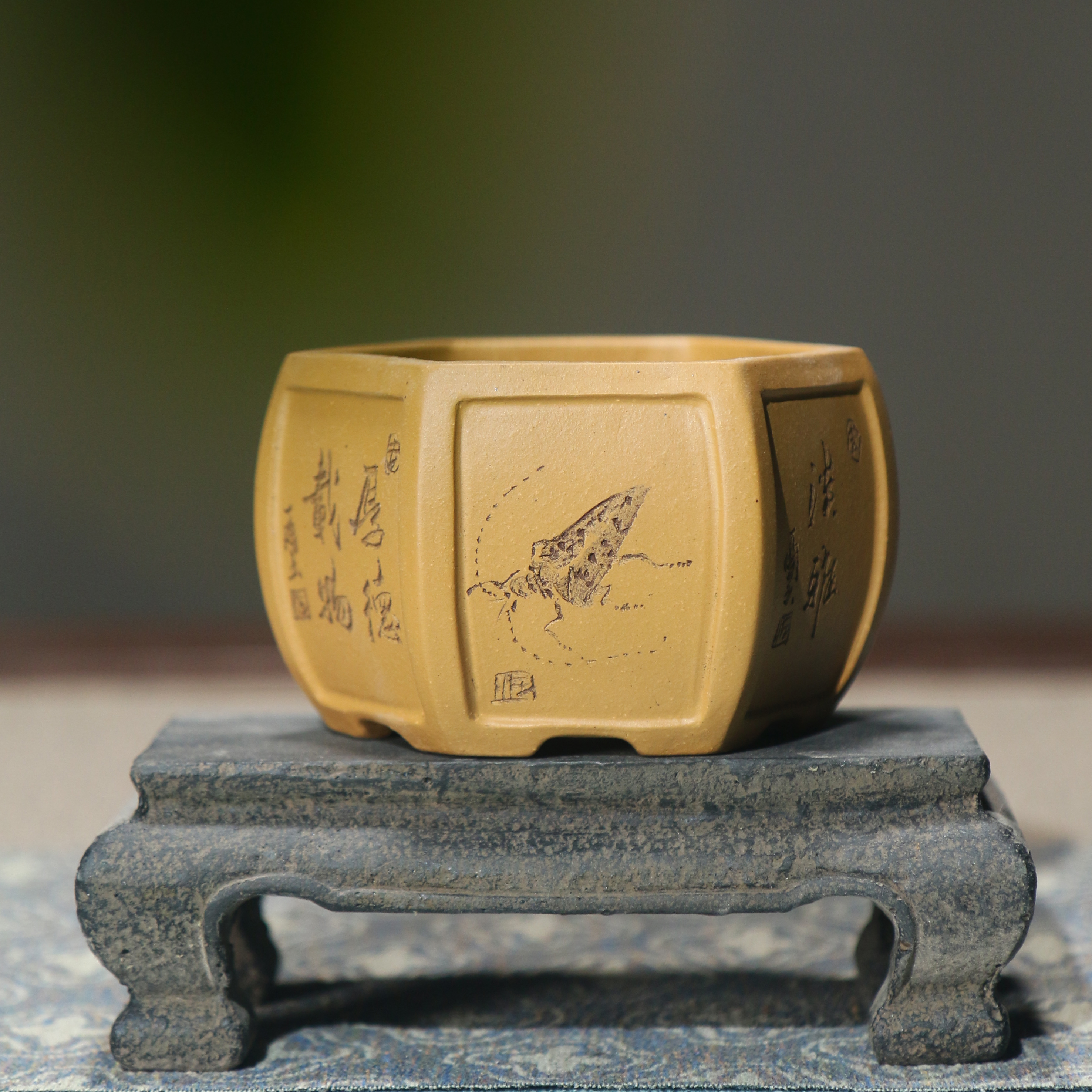 ձɰ蹬ƴ̻󰻨ȤΨ辰 86.24Ԫ