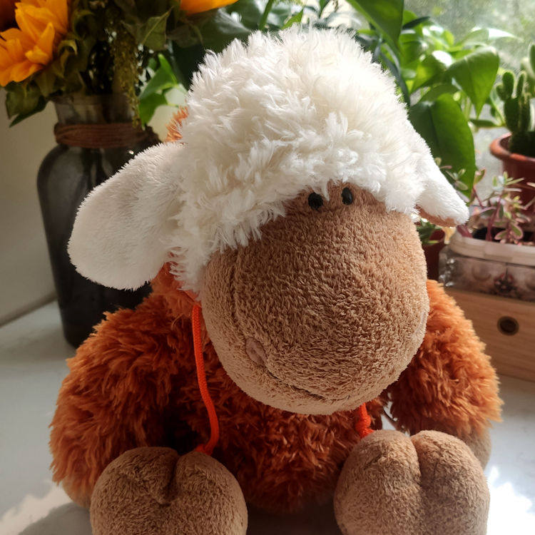 德国nici正品橘色风衣羊多利羊咩咩羊小公仔帽羊毛绒玩具生日礼物