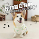 柯基夏天背心薄款 狗狗衣服两脚衣 法斗柴犬中小型犬八哥犬宠物夏季