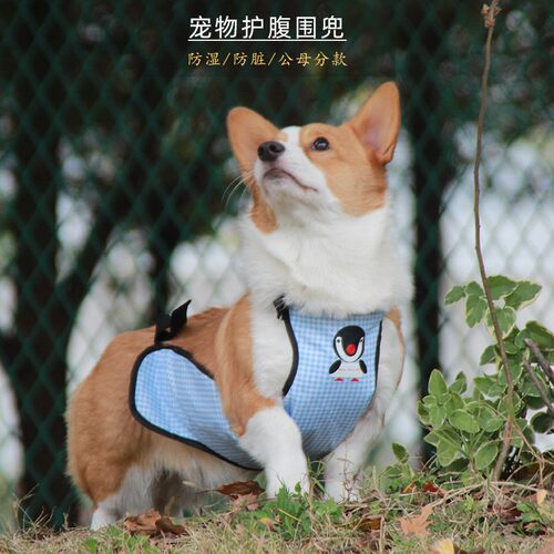 防水涤纶pvc狗肚兜柯基犬猫通用