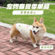 柯基春夏背心宠物草莓兔背心薄款 衣服纯棉自带牵引扣狗狗猫咪衣服