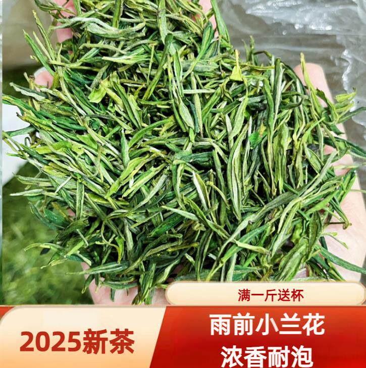 安徽茶叶舒城小兰花2026雨前绿茶