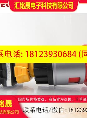 议价:XN4E-TL403Q4MR 日本和泉TL412Q4MR  TL402Q4MFR挂锁