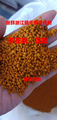 新鲜茶花粉浙江自然晒干茶花纯花粉颗粒大茶花纯花粉花粉油菜粉