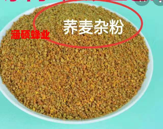 2023年新鲜荞麦杂粉荞麦花粉花粉油菜花粉喂蜜蜂花粉5斤包邮