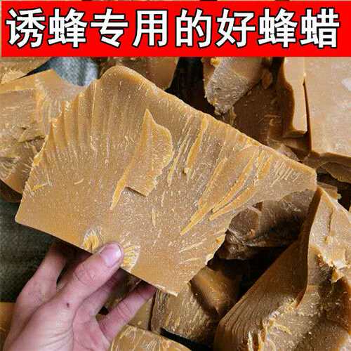 诱土蜂蜡天然蜂蜡 养蜂诱蜂蜂块蜂蜡老蜡脾中蜂招蜂家具抛光蜂蜡