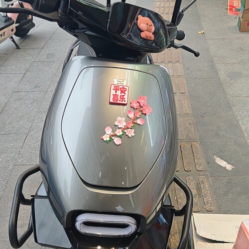 适用极核EZ4/EZ4Max车头仿真桃花