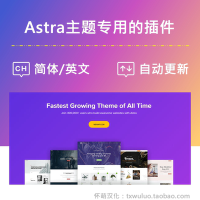 Astra Pro 官方中英文 Astra主题专用插件 外贸商城建站