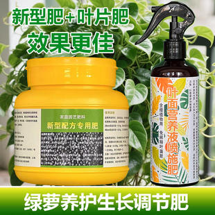 绿萝柱专用肥料盆栽绿植生根生长茂盛长藤长新叶子营养液喷施肥料