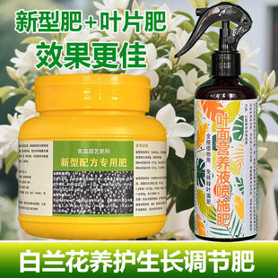 白兰花专用肥料玉兰花盆栽黄角兰营养液白玉兰花苗营养液叶面肥料