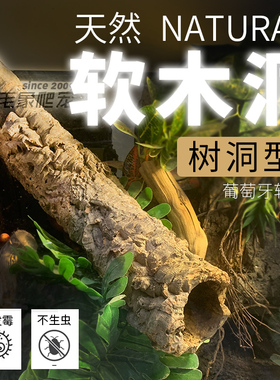 葡萄牙软木树洞鬃狮豹纹睫角巨人守宫躲避防腐防霉雨林缸造景树皮