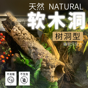 葡萄牙软木树洞鬃狮豹纹睫角巨人守宫躲避防腐防霉雨林缸造景树皮