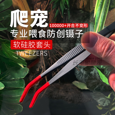 黑色烤漆镊子爬宠喂食用安全包头