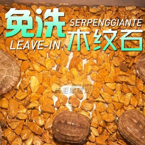 天然木纹石卵石乌龟水龟半水龟水族鱼缸底沙造景装饰石头无锋边