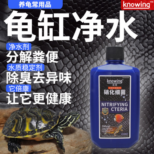 巴西草龟黄头改善水质硝化细菌