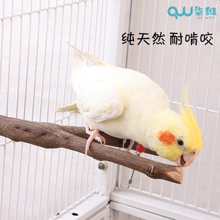 手养鹦鹉玩具站杆站棍虎皮牡丹玄风鸟笼配件会说话鸟用品秋千磨爪