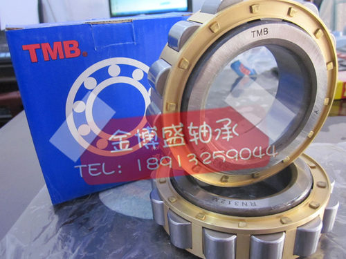 TMB天马圆柱滚子轴承 RN310 RN311 RN312M 减速机偏心轴专用轴承