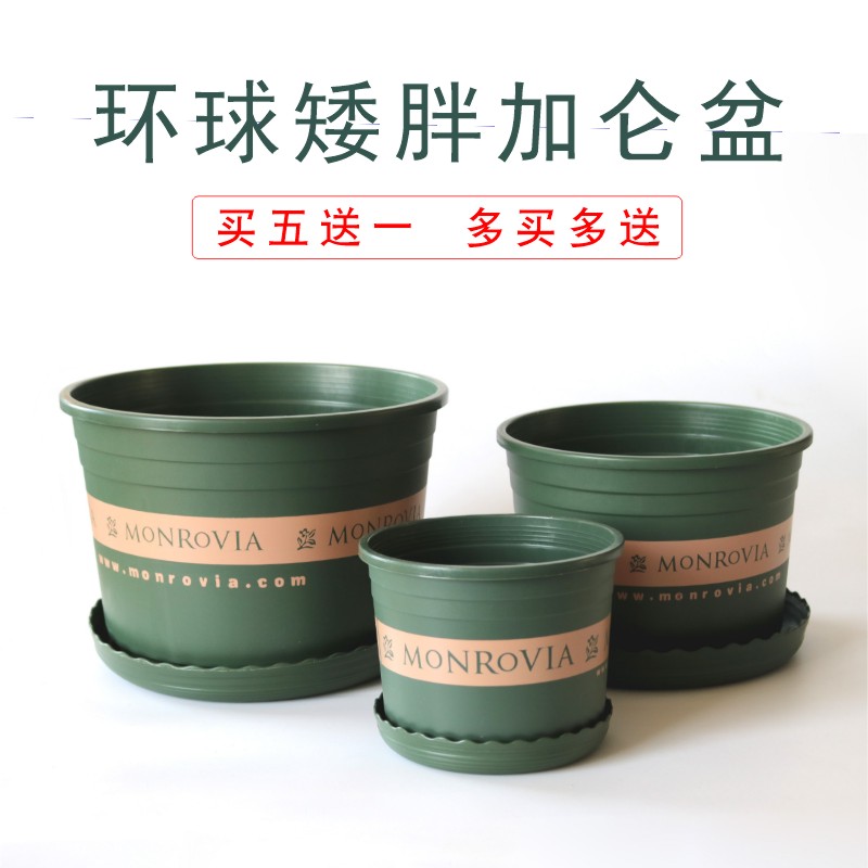 塑料花盆 环球加仑盆 矮胖加仑花盆