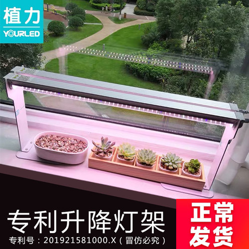 植力 LED全光谱多肉补光灯防徒长上色植物生长光合作用家用仿太阳 - 封面