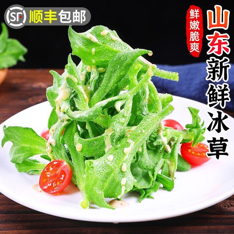 山东新鲜冰草冰菜蔬菜火锅