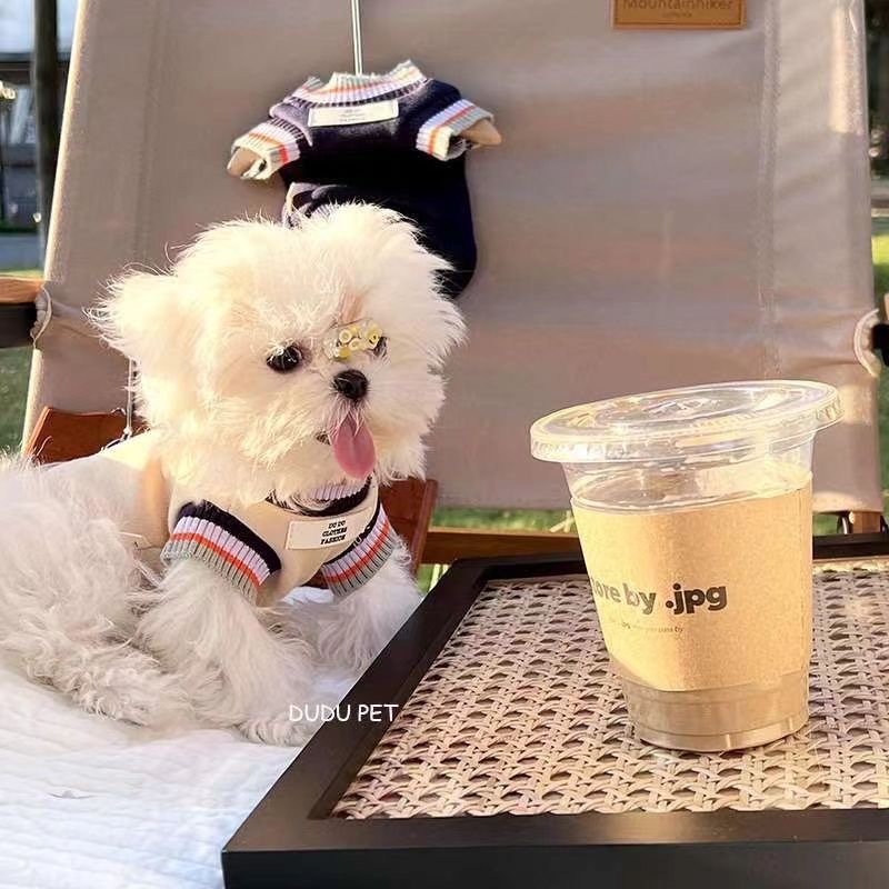 秋冬季小狗狗衣服宠物马尔济斯小型犬泰迪比熊衣服防掉毛保暖加绒