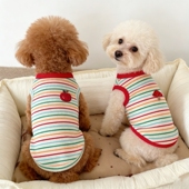 宠物衣服弹力棉吊带薄款 背心裙子泰迪比熊博美猫咪小狗狗休闲春夏